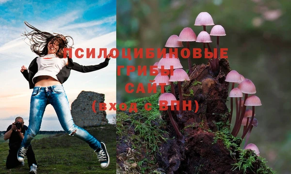 мяу мяу кристалл Богородицк