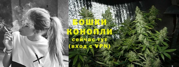 спиды Богородск